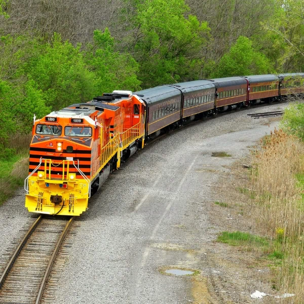 Bright orange and yellow 250 buckeye train